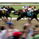 Illustration for article titled Handicapping The 2008 Belmont Stakes